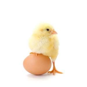 Meet your Posher, Janeth